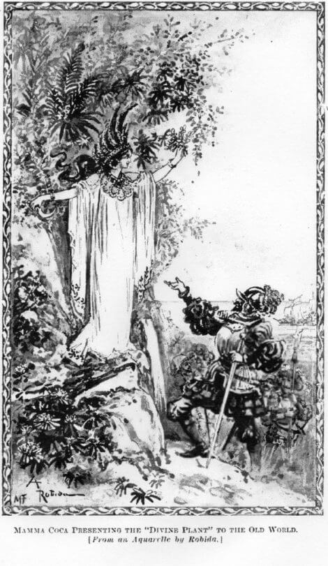 mama-coca-peru-history-of-coca.1901-470x811-1.jpg