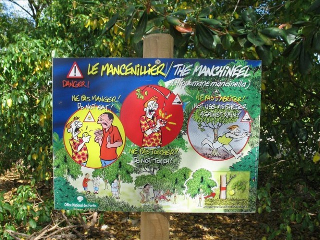 manci34.jpg