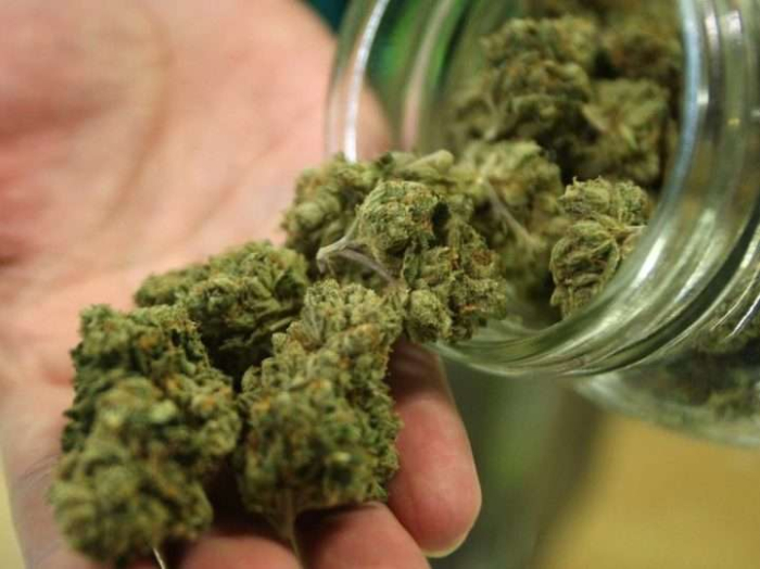 marihuana-721x540-323509-372710.jpg