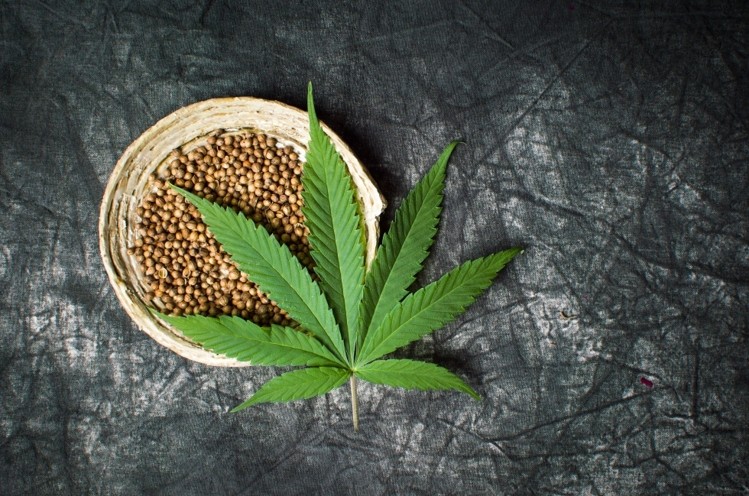 marihuana dlya kreativa1.jpg