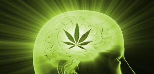 marihuana dlya kreativa2.jpg