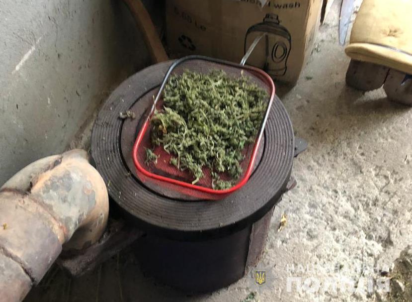 marihuana odessa2.jpg