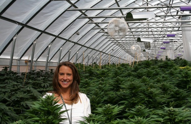 marihuana1.jpg