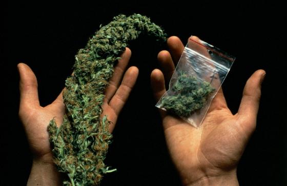 marihuana_00257800.jpg