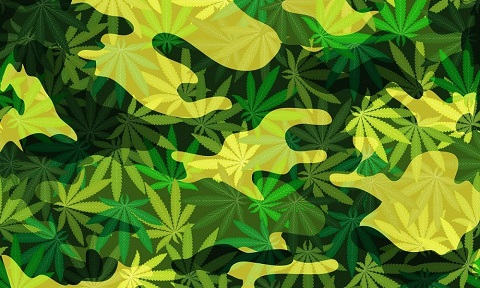 marijuana.jpg