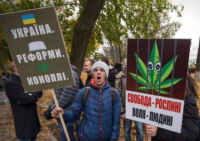 marsh marihuana.jpg