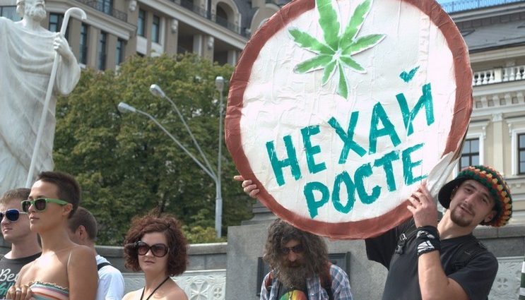 marsh marihuana2.jpg