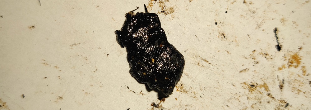 Masla THC s bulika trip report 8.jpg