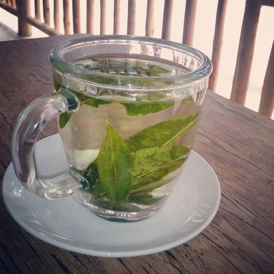 mate-de-coca.jpg