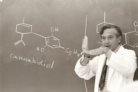 mechoulam.jpg