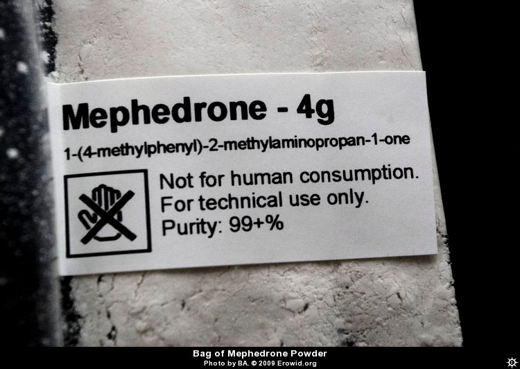 mef2.jpg