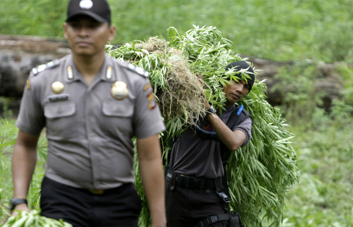 mexica marihuana.jpg