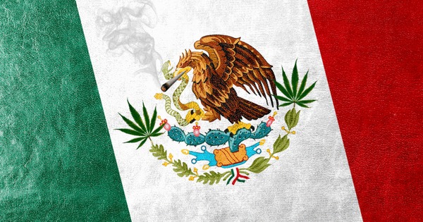 mexico marihuana.jpg