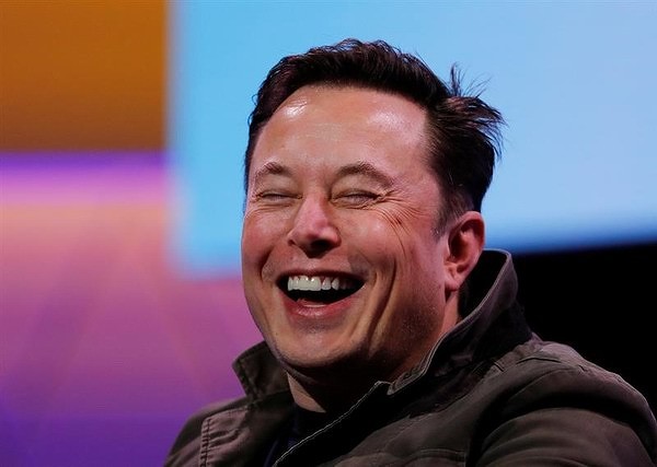 musk600.jpg