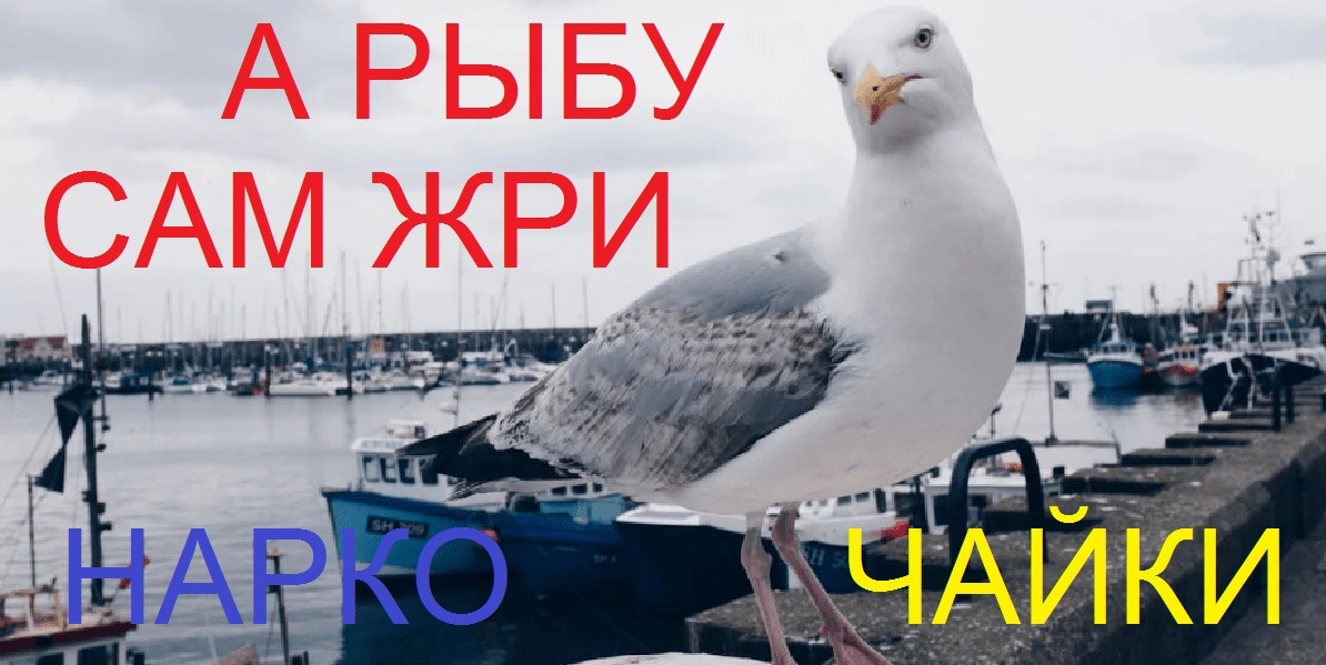 наркочайки.jpg