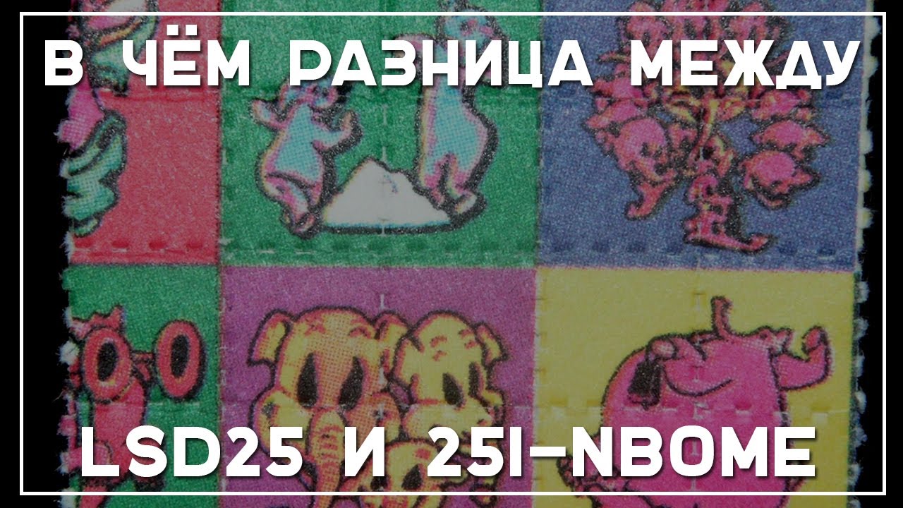nbom1_.jpg