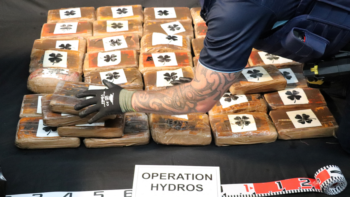 New-Zealand-cocaine-2.png