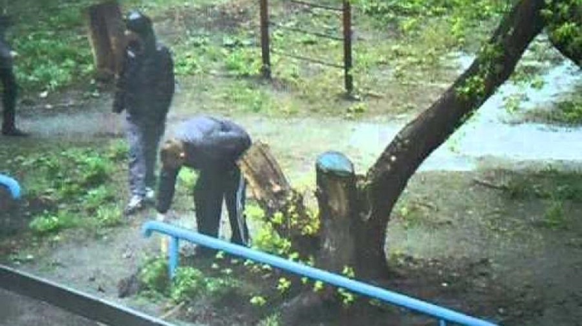 николаев закладки.jpg