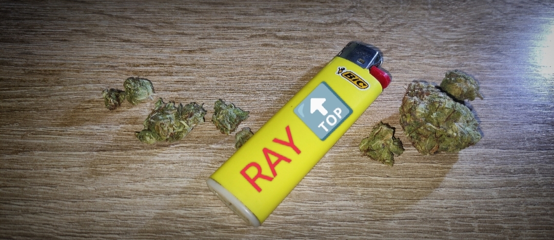 OG Kush RayTop Kiev - Zver trip na shishki foto 10.jpg