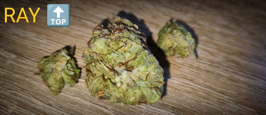 OG Kush RayTop Kiev - Zver trip na shishki foto 11.jpg