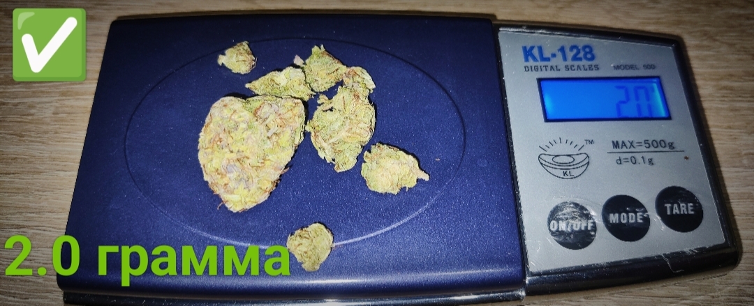 OG Kush RayTop Kiev - Zver trip na shishki foto 12.jpg