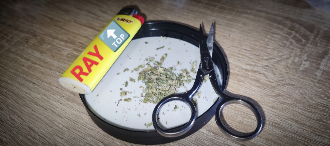OG Kush RayTop Kiev - Zver trip na shishki foto 4.jpg