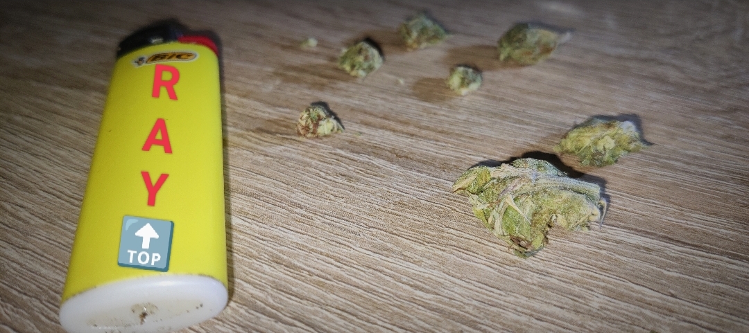 OG Kush RayTop Kiev - Zver trip na shishki foto 9.jpg