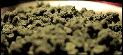 OG Kush shish.gif