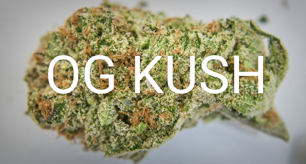 OG Kush - сорт шишек 2.jpg