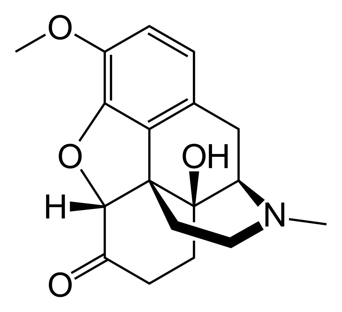oksi2.png