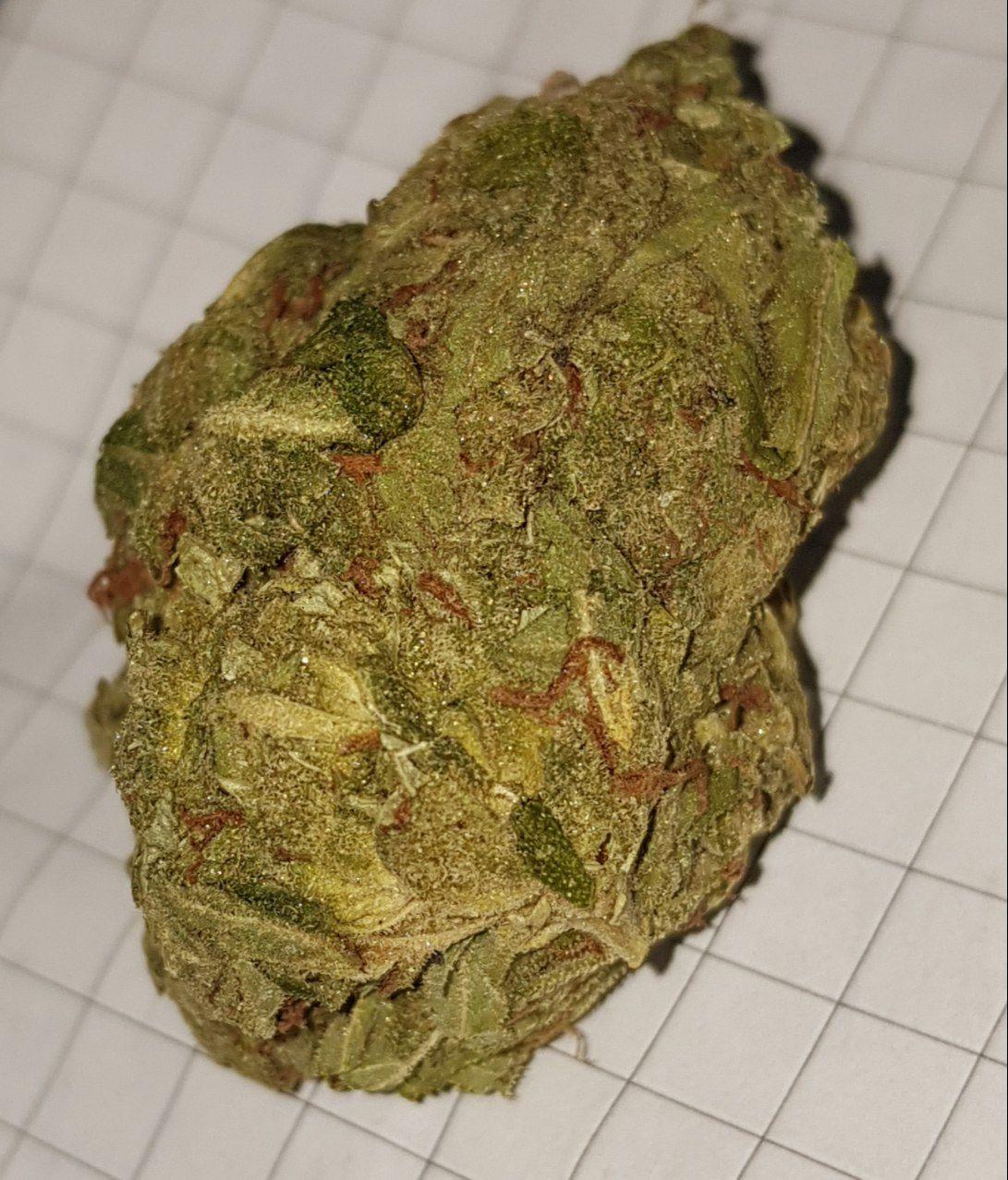 opium2.jpg