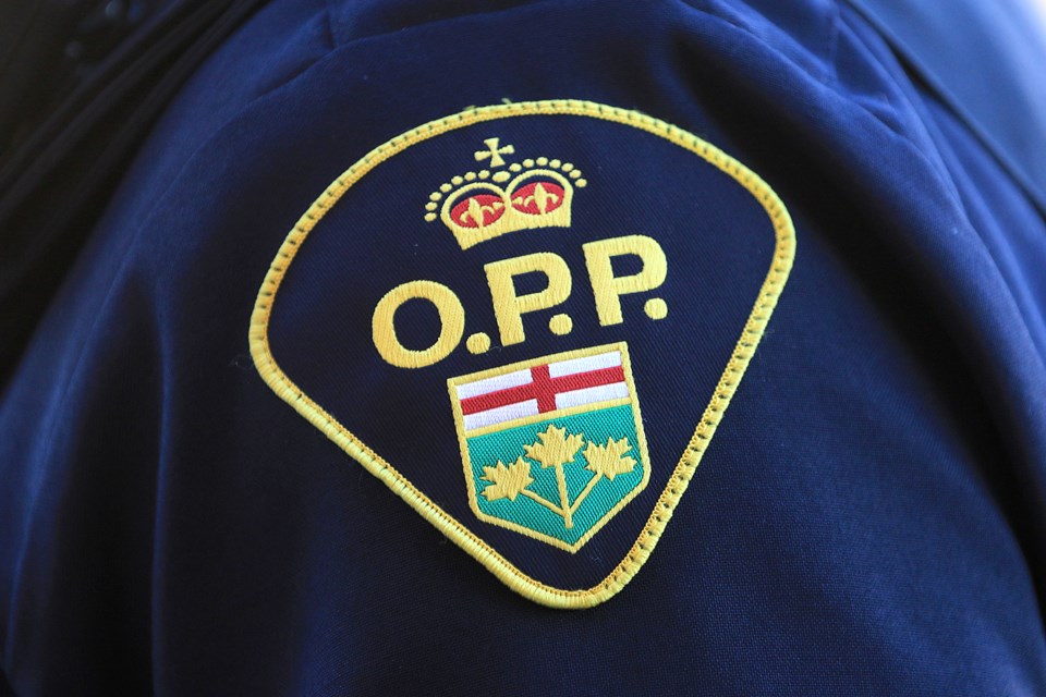 opp-patch-2024.jpg