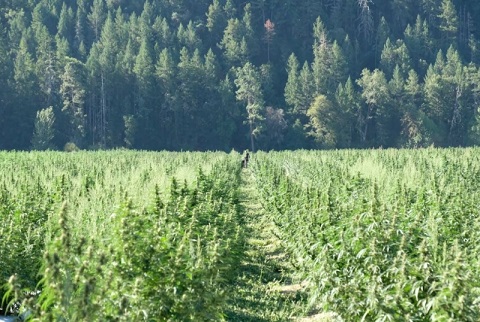 Oregon.jpg
