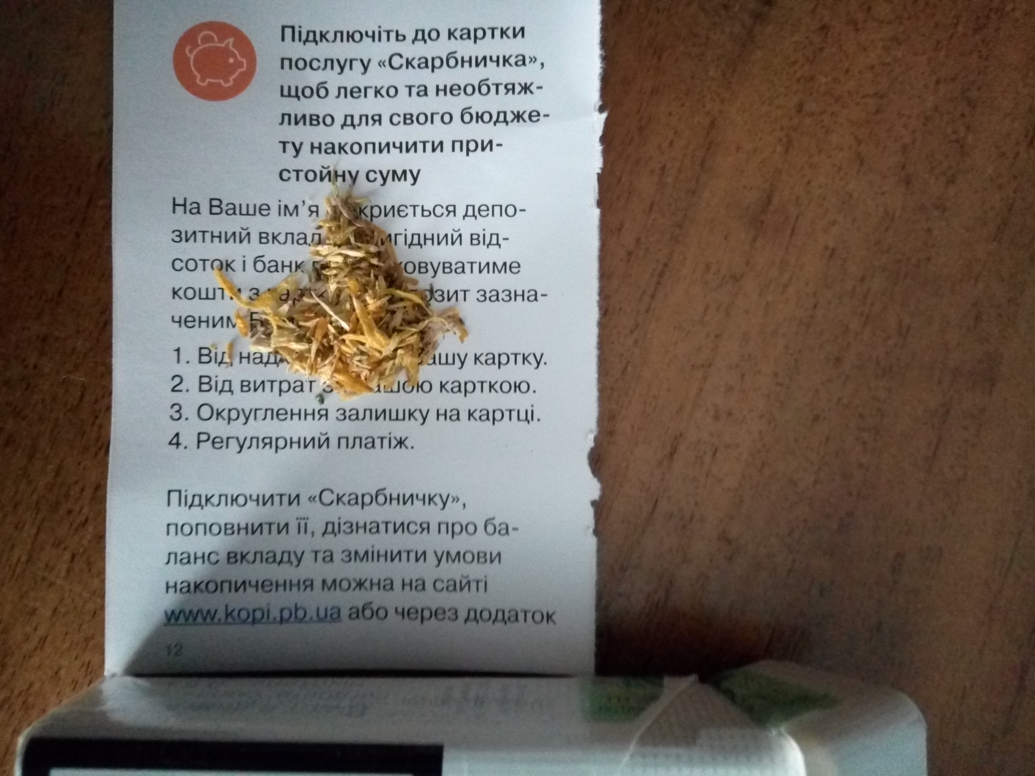P81103-081644.jpg