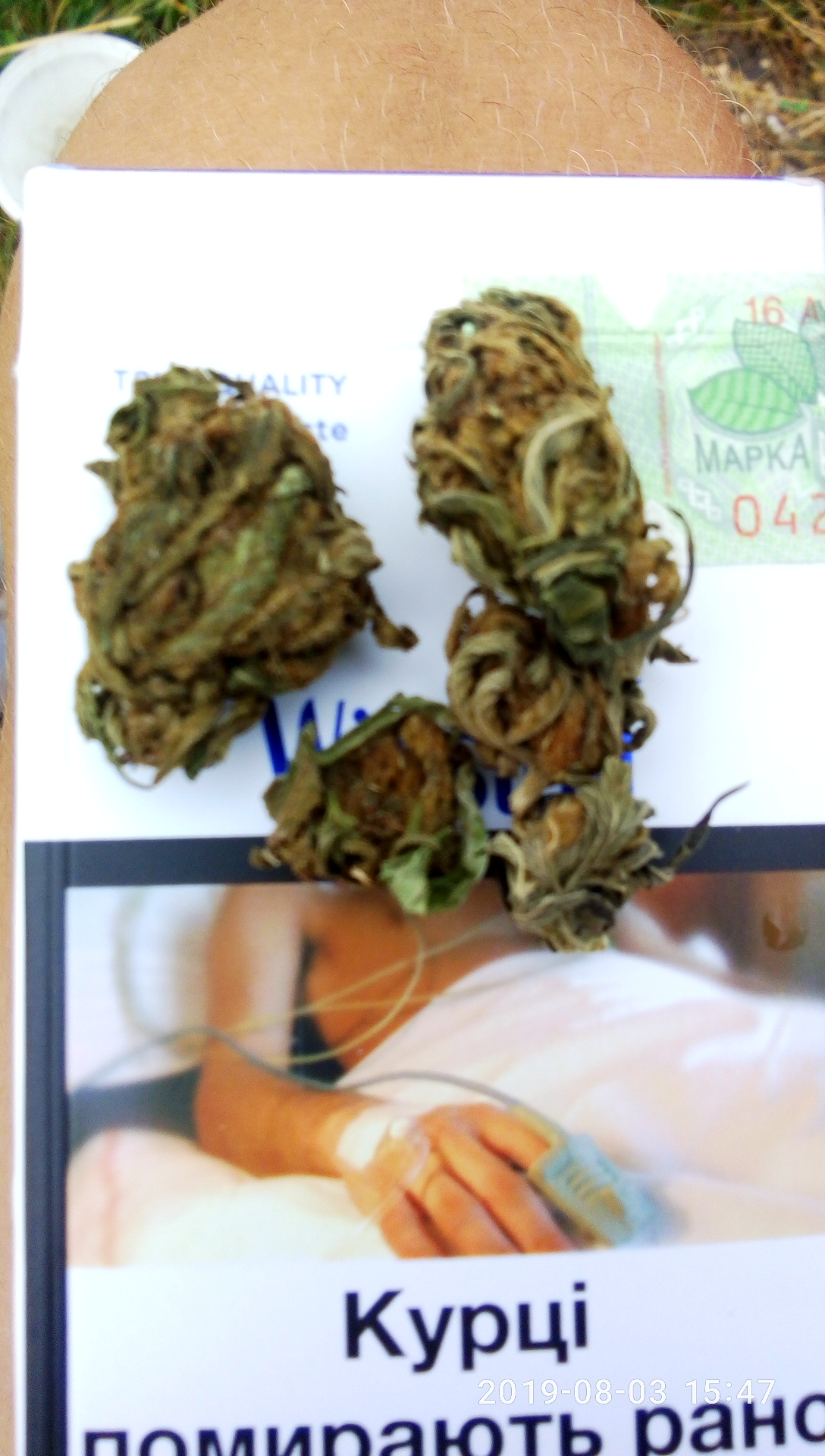 P90803-154753.jpg