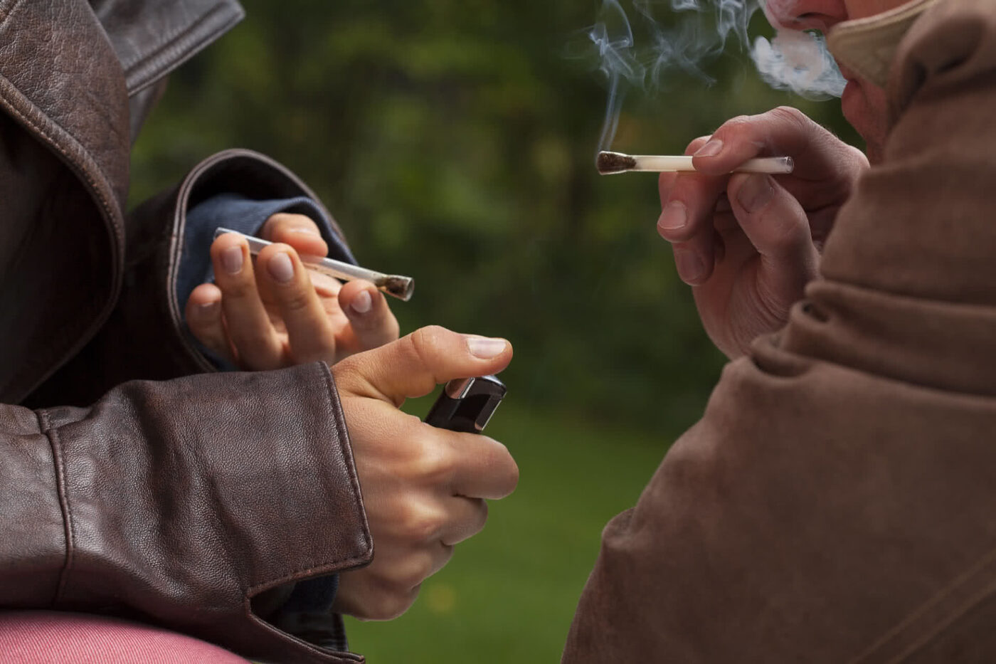 paracelsus-recovery-daily-use-of-marijuana-1400x933.jpg