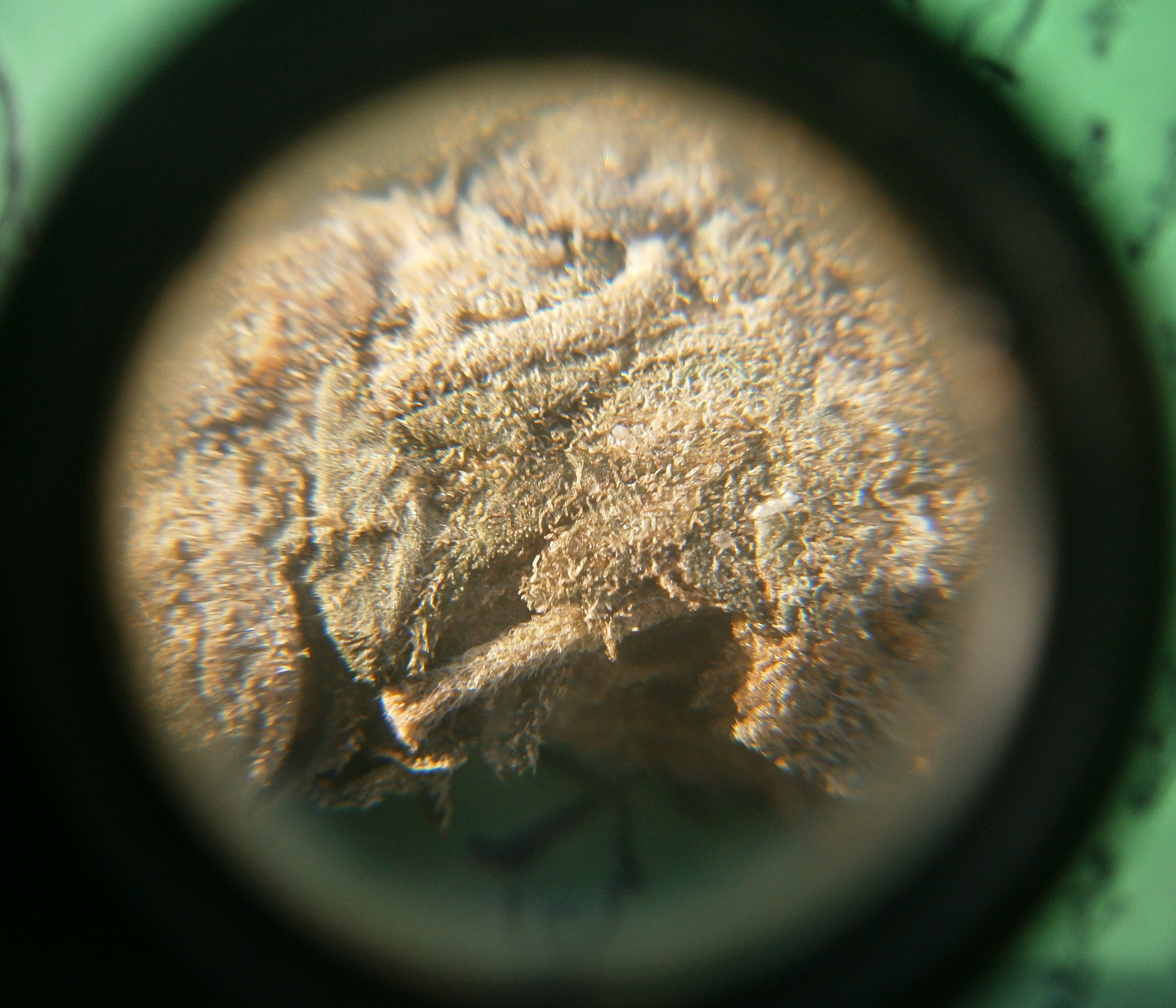 PB090069.JPG