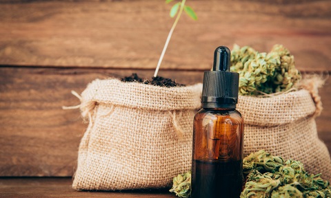 peru-effectively-launches-medical-marijuana-program-featured.jpg