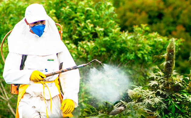 pesticidy__0hmUrKyxqRcKyIwH.jpg