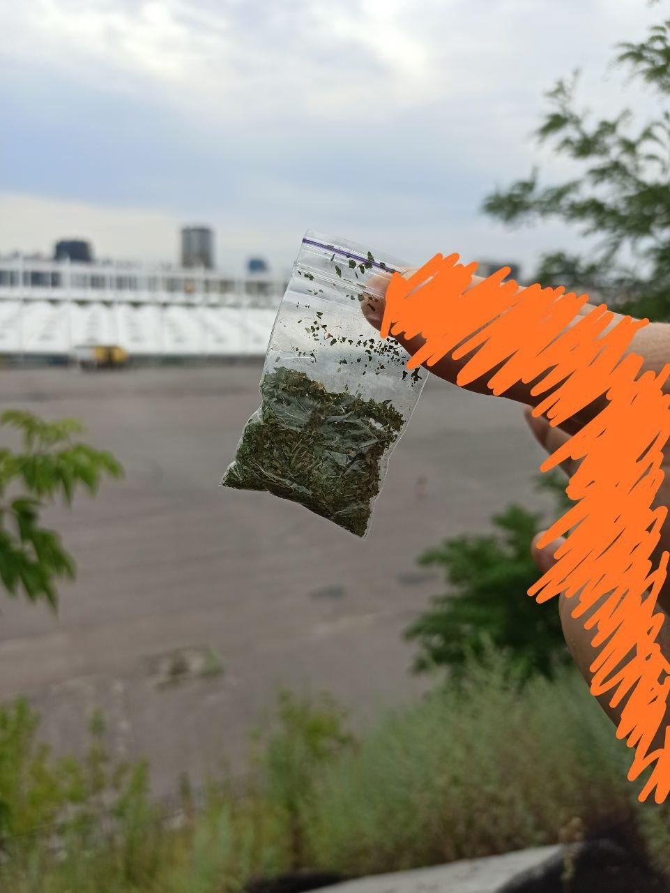 photo.jpg
