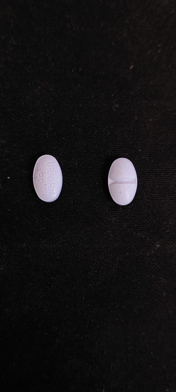 photo_2023-01-23_13-41-55.jpg