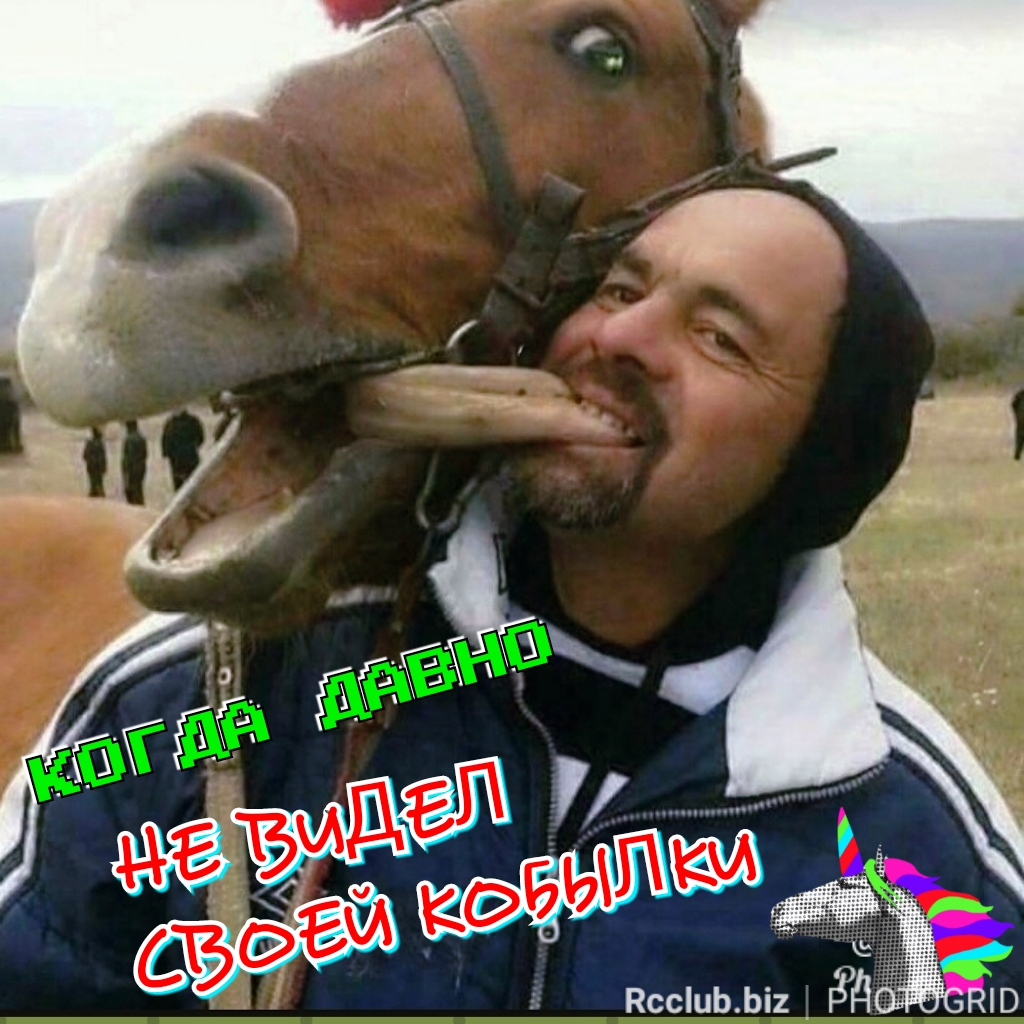 PhotoGrid_1526978114081.jpg