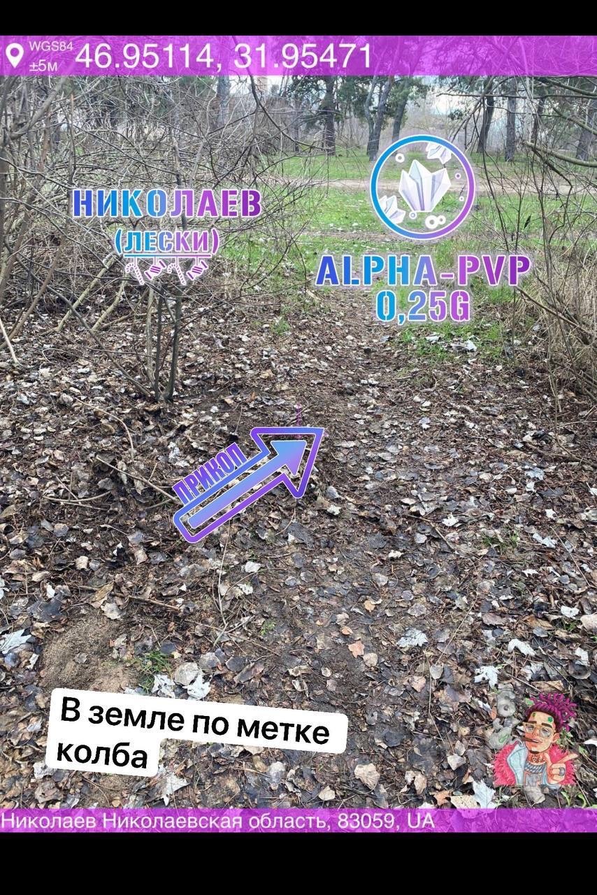 phpOc6IN7.jpg