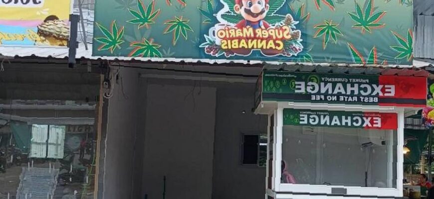 phuket-cannabis-870x400.jpg