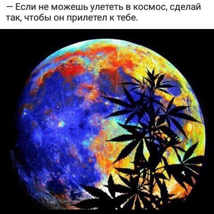 planokur.jpg