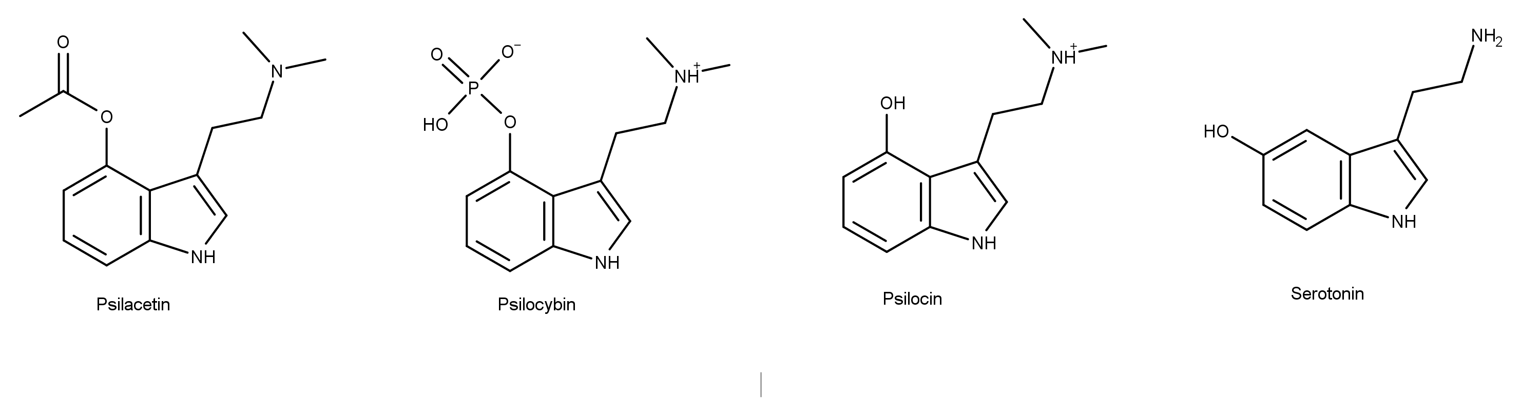 psilaci.png