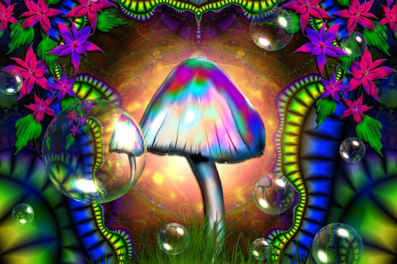 psilocibin2.jpg