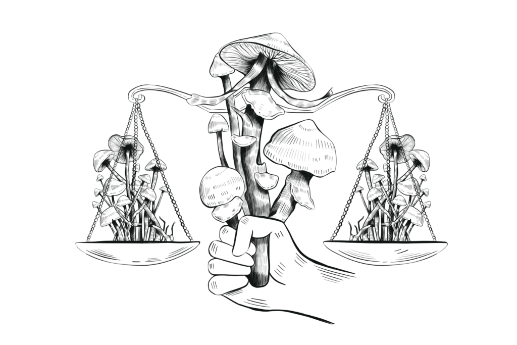 psilocybe-legality-1024x683.png