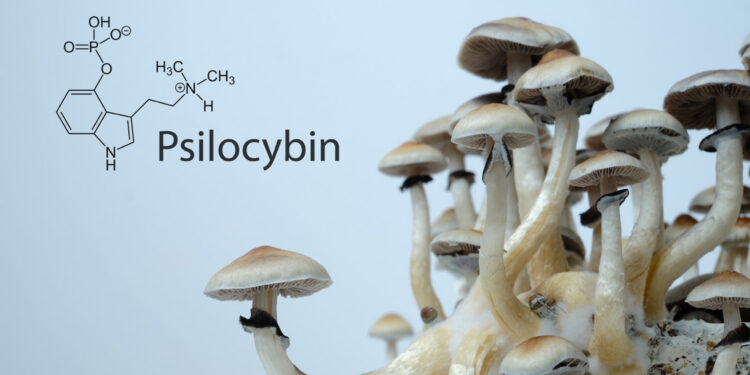 psilocybin-750x375.jpg