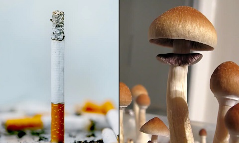 psilocybin.jpg